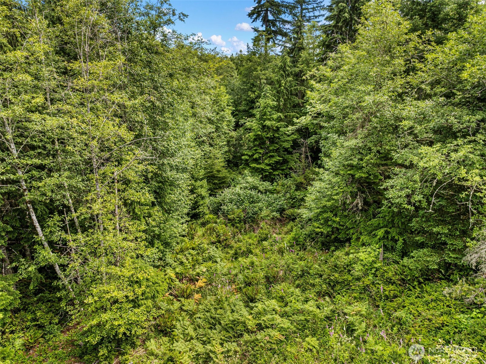 1 Andy Rogers Place Property Photo 15