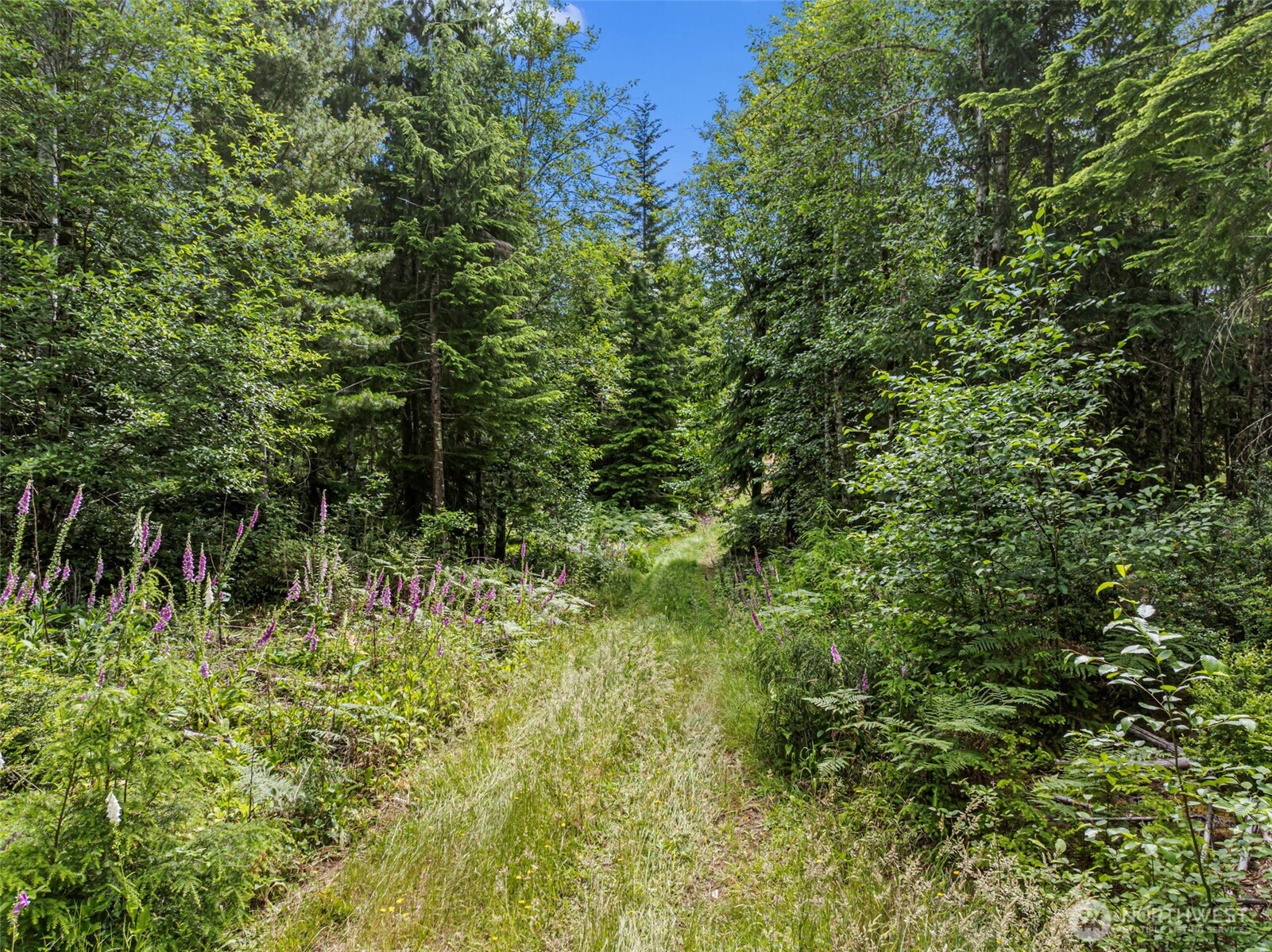 1 Andy Rogers Place Property Photo 17
