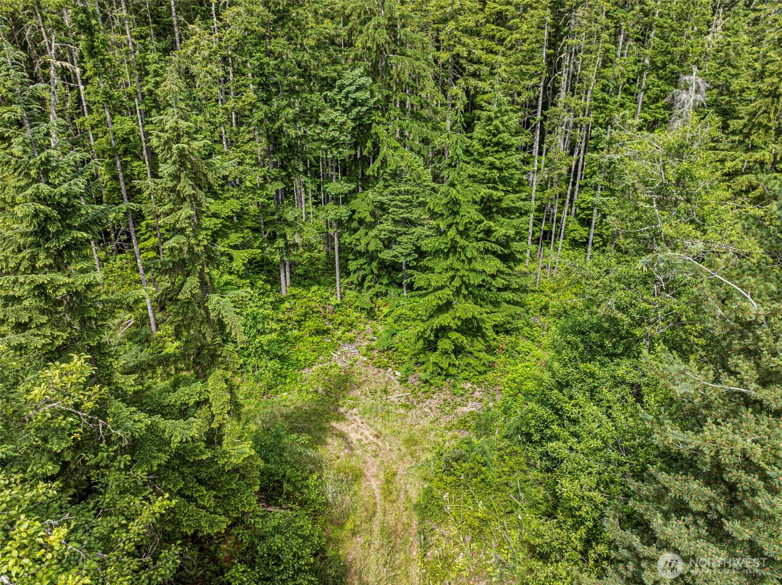 1 Andy Rogers Place Property Photo 19