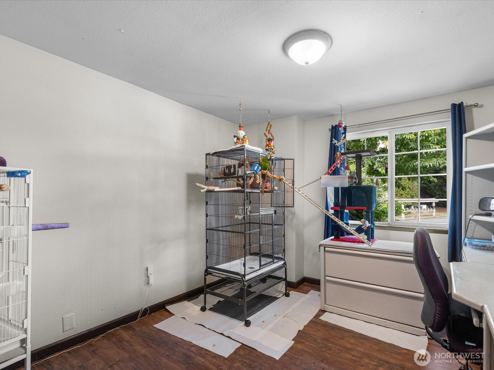 7812 Condor Drive Property Photo 14