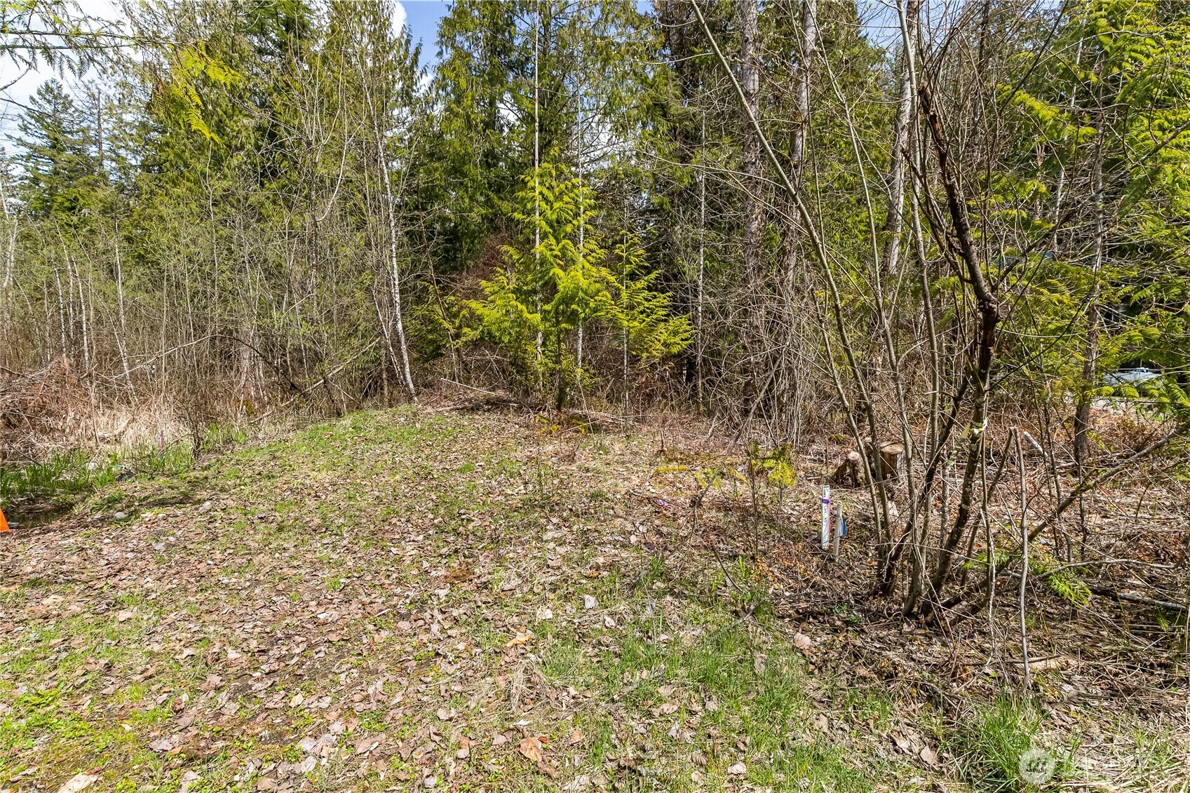 17045 Iceberg Road Property Photo 2