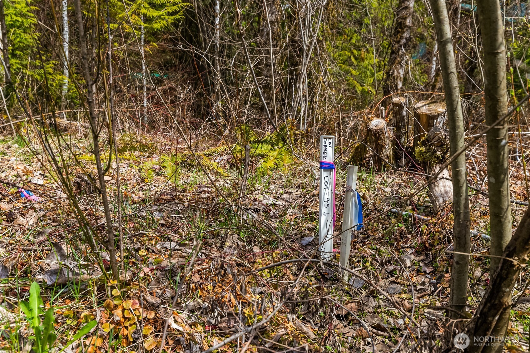 17045 Iceberg Road Property Photo 3