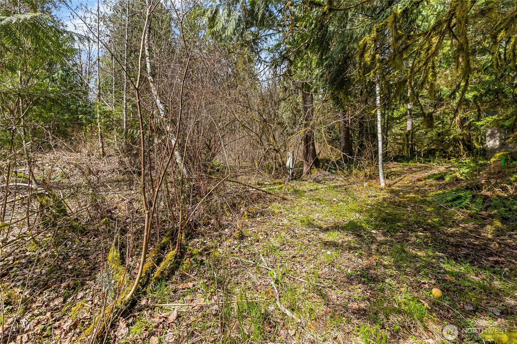 17045 Iceberg Road Property Photo 4