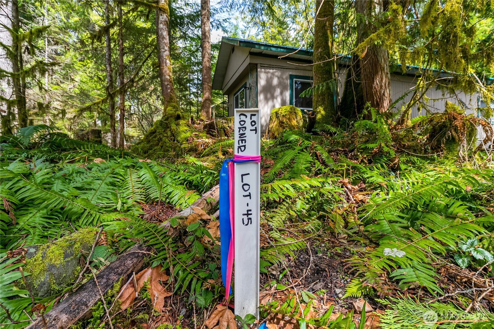 17045 Iceberg Road Property Photo 6