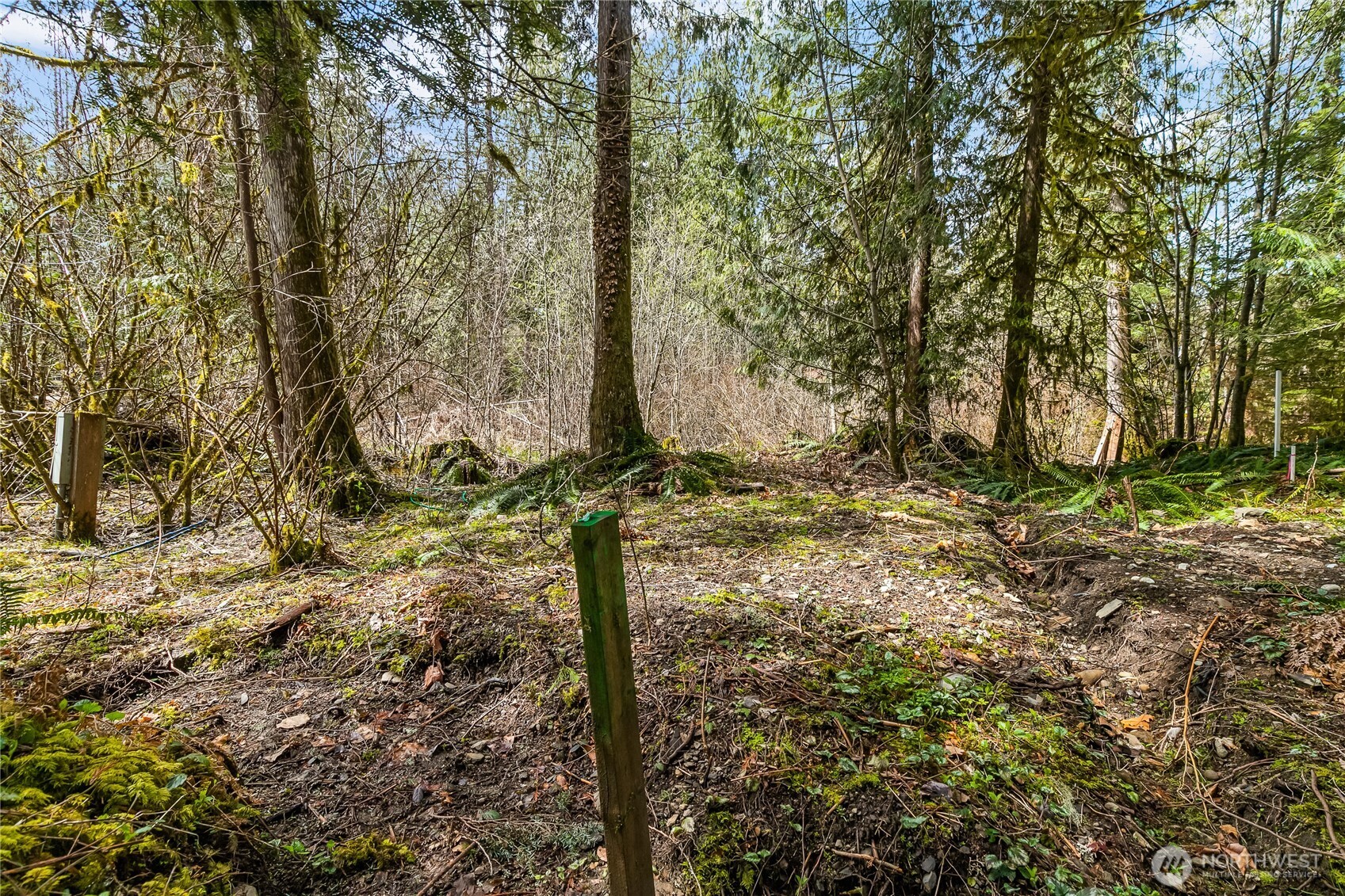 17045 Iceberg Road Property Photo 7