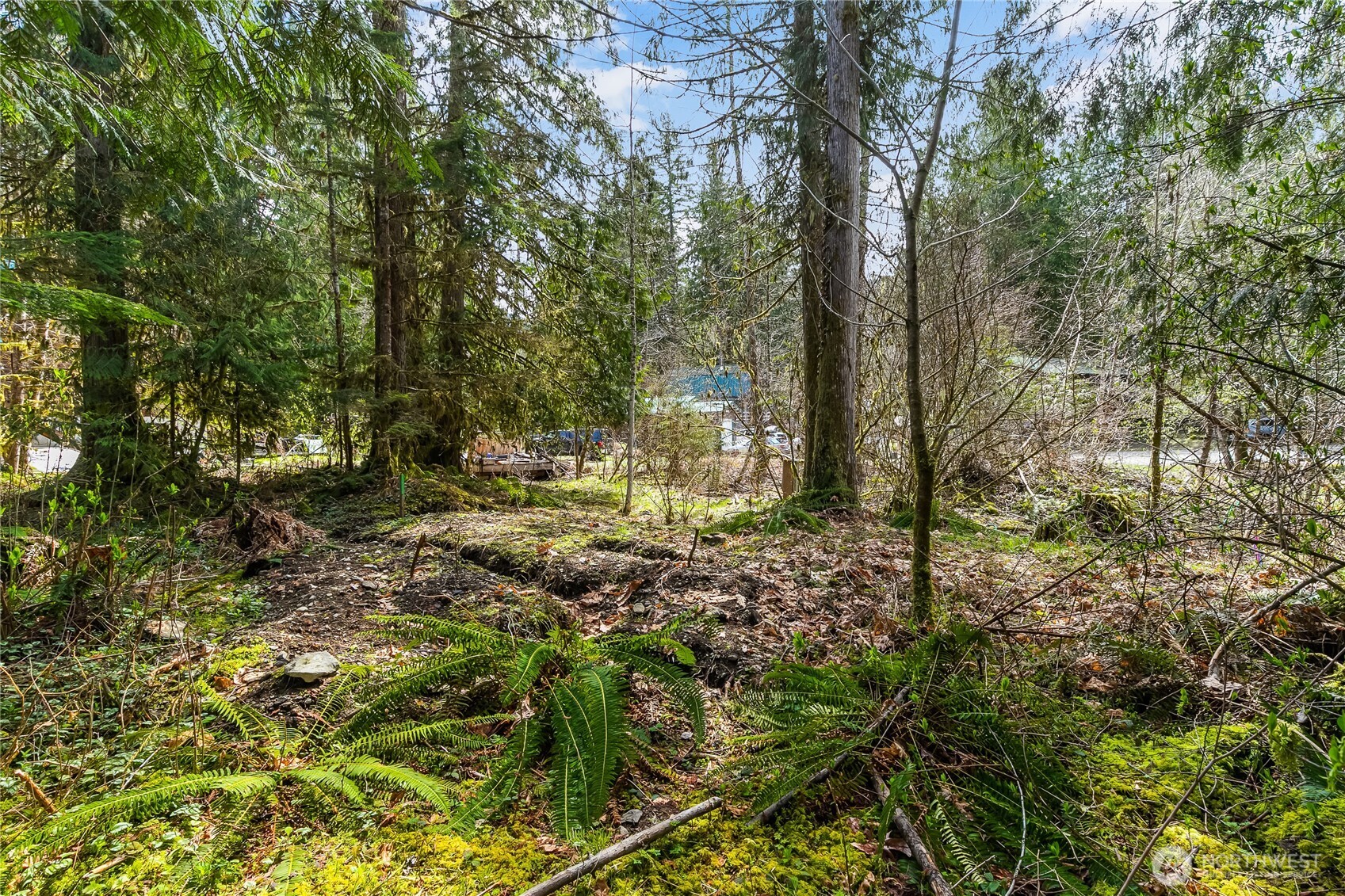 17045 Iceberg Road Property Photo 8