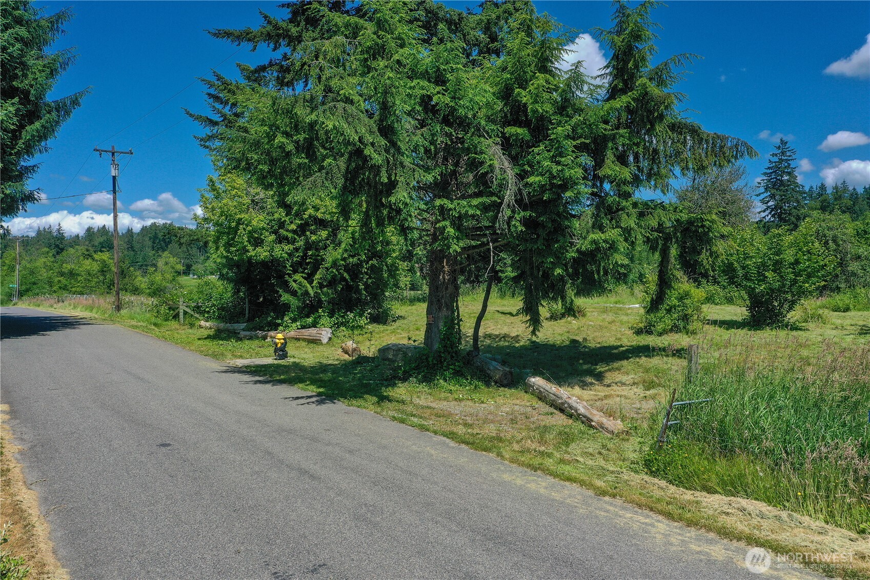 15817 91st Avenue Property Photo 2