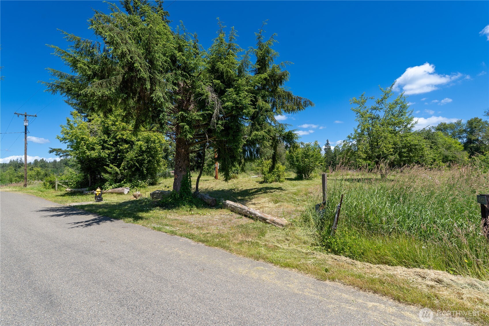 15817 91st Avenue Property Photo 3