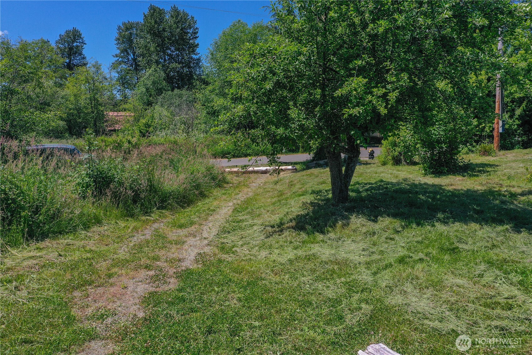 15817 91st Avenue Property Photo 6