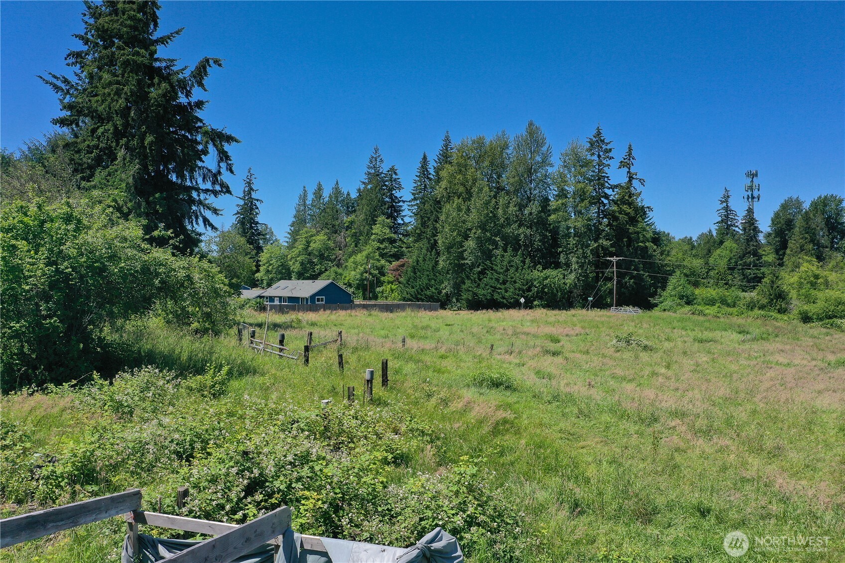 15817 91st Avenue Property Photo 7