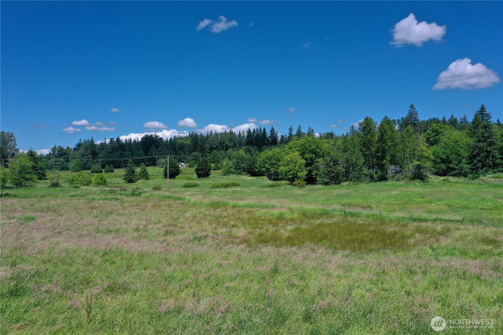 15817 91st Avenue Property Photo 8