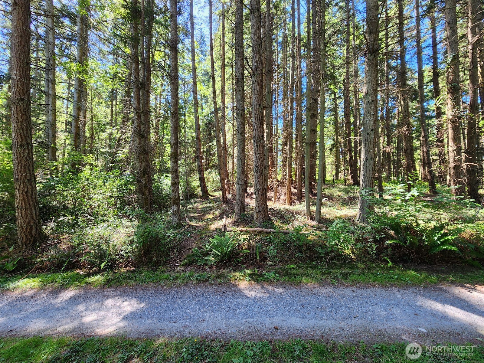 1664 Lancaster Rd Property Photo 2