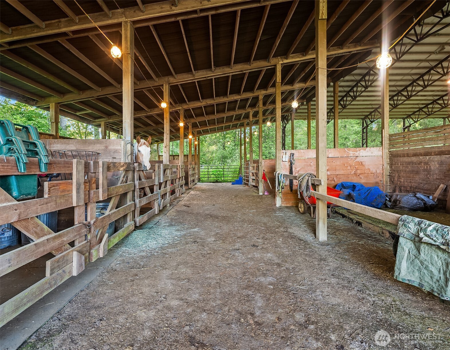 13017 44th Street Property Photo 7