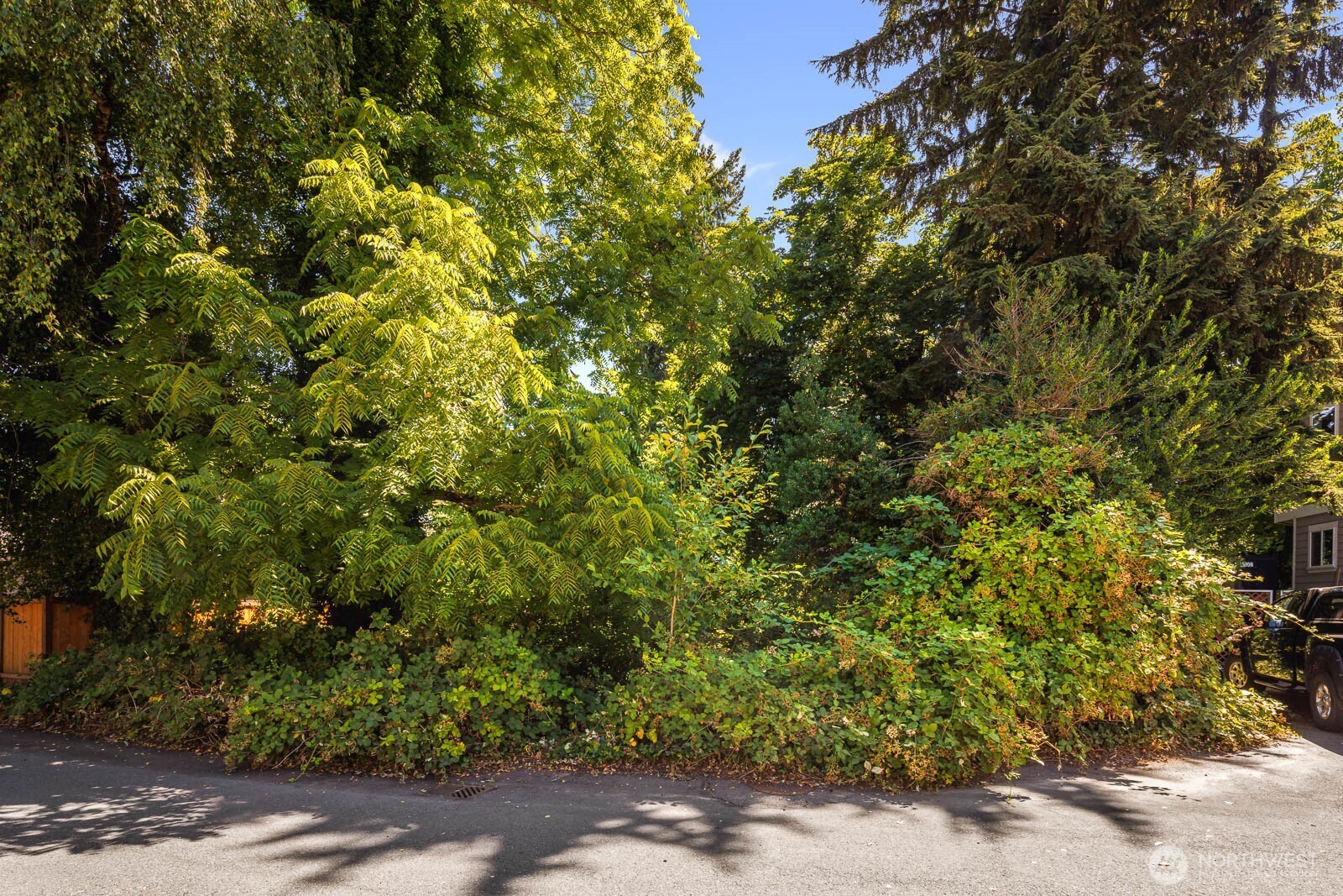 672 Lind Avenue Property Photo 3