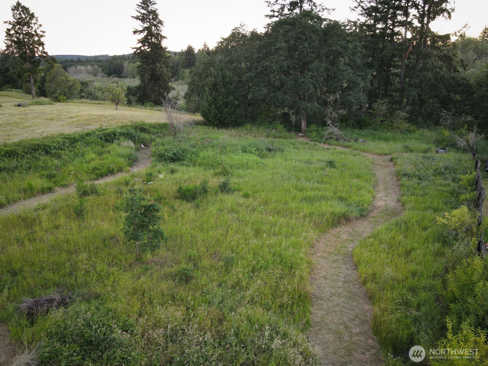 16743 Bucoda Highway Property Photo 6