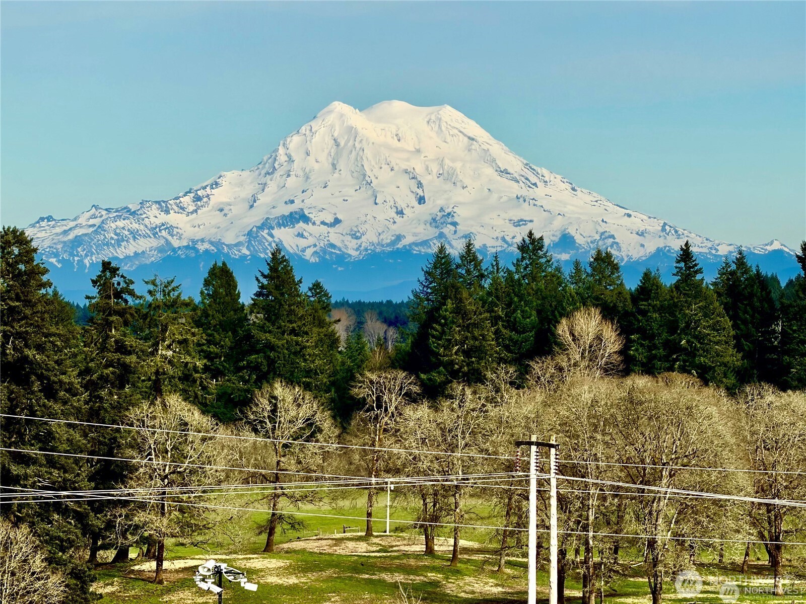 2835 Arrowroot Loop Property Photo 6