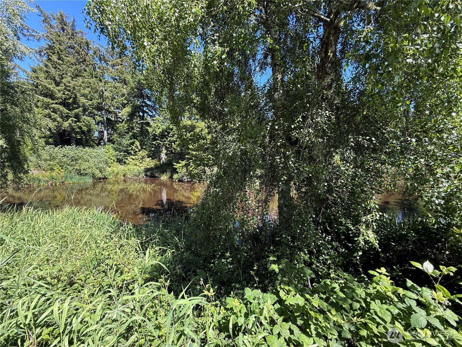 21850 V Lane Property Photo 11