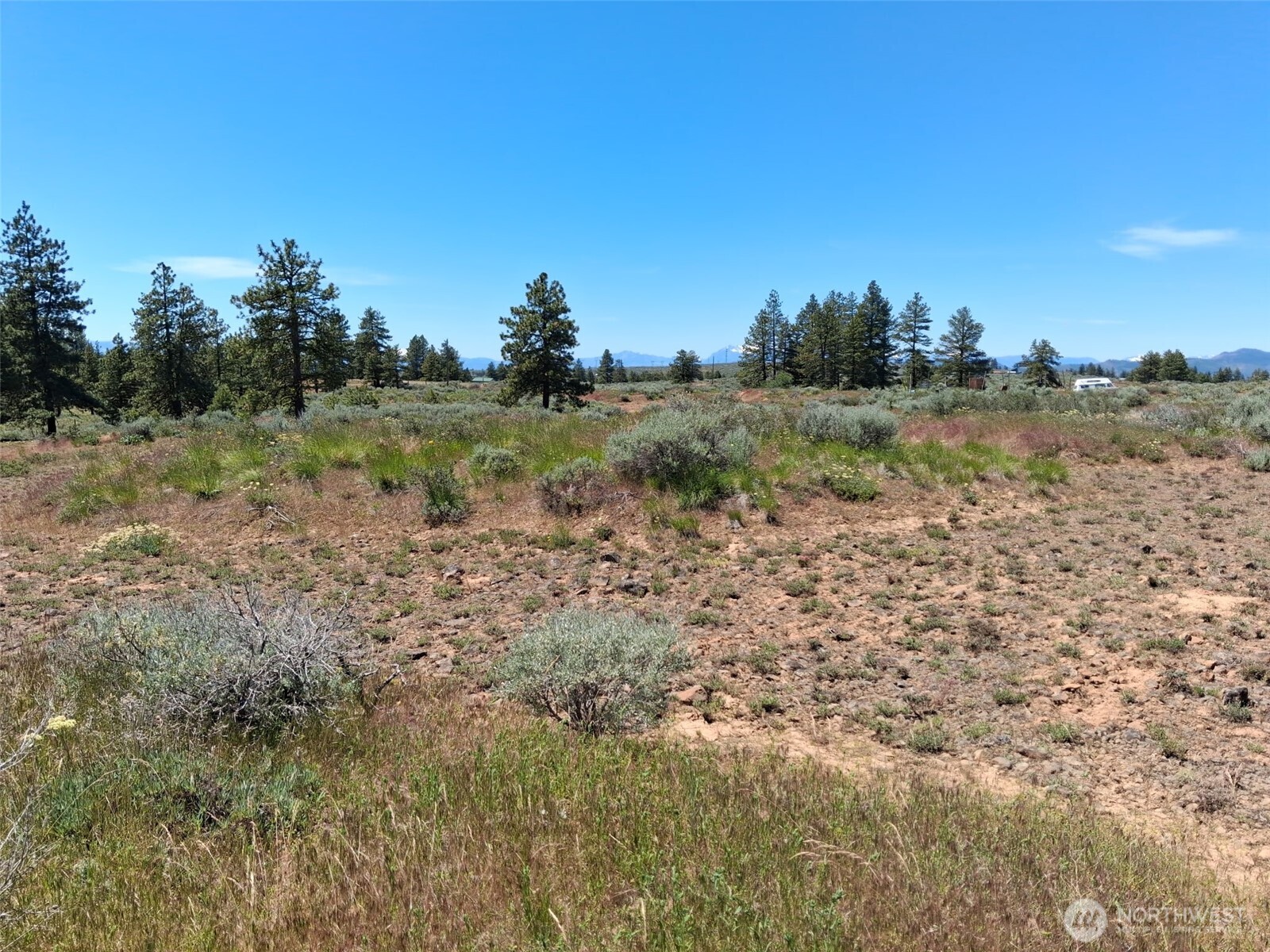 113 Falcon Ridge Road Property Photo 3