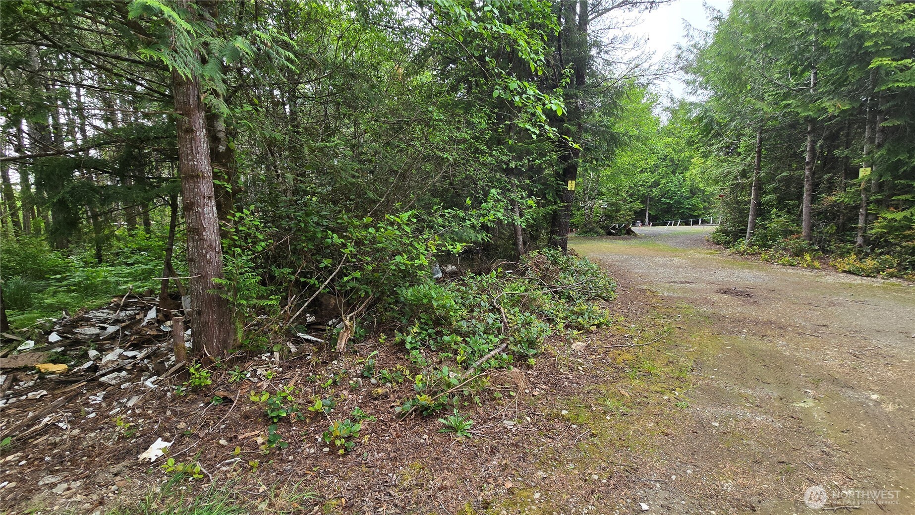 8 Biggs Avenue Property Photo 22