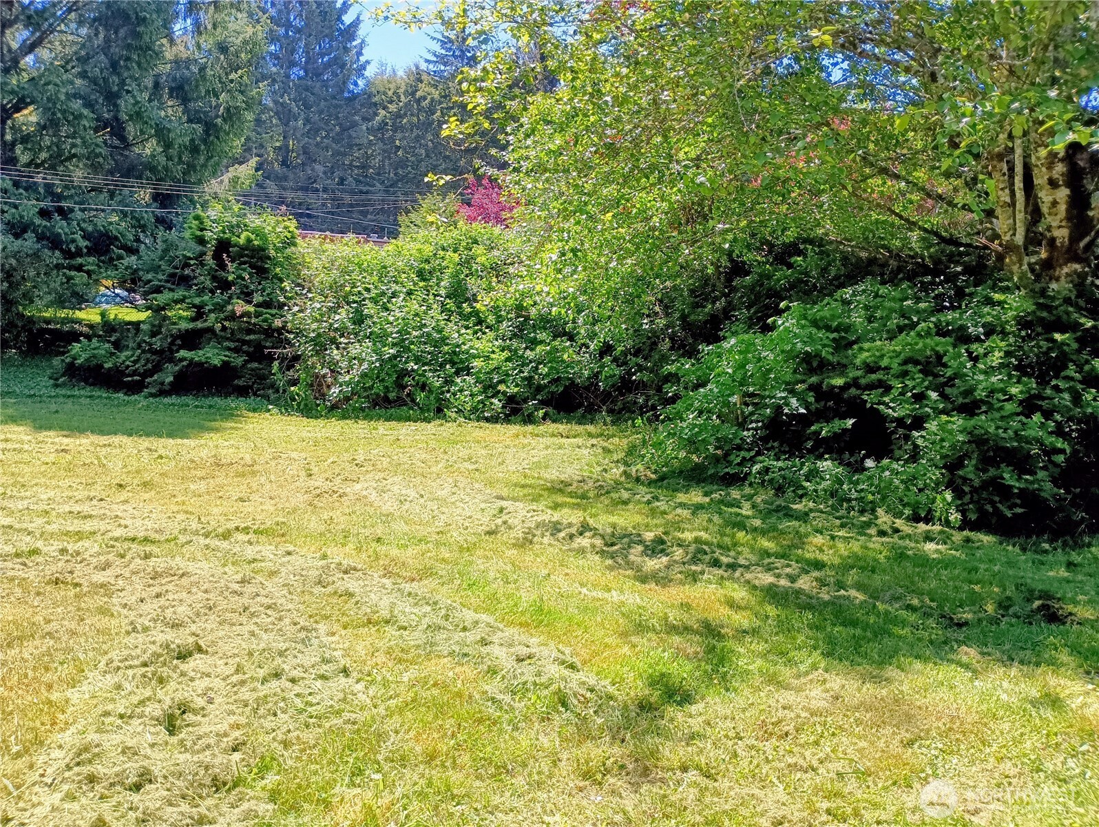 8 Griffard Street Property Photo 33