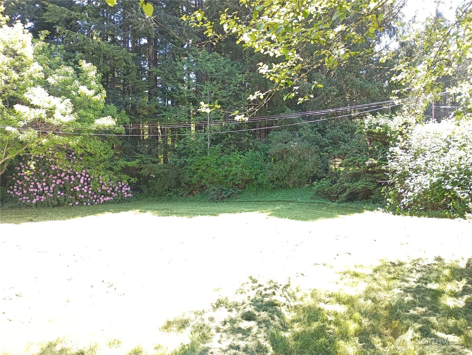 8 Griffard Street Property Photo 34