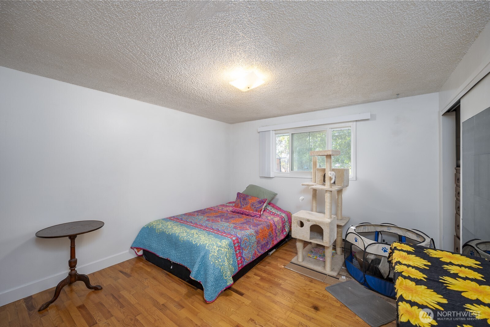 1228 E Lake Street Property Photo 5
