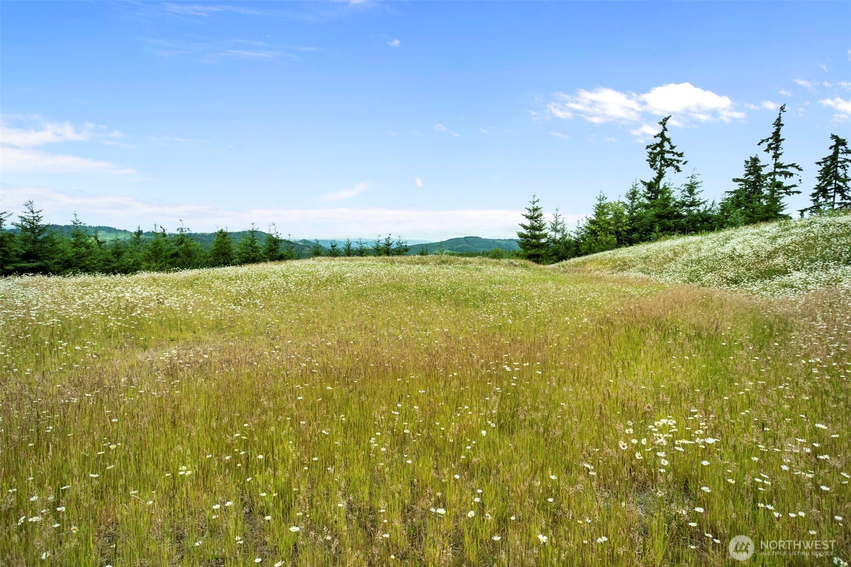 104 Bootjack Lane Property Photo 1
