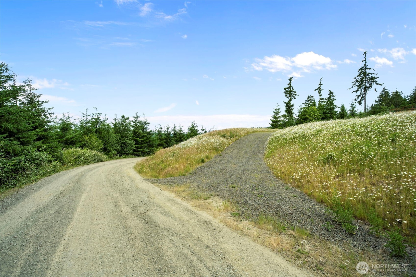 104 Bootjack Lane Property Photo 4