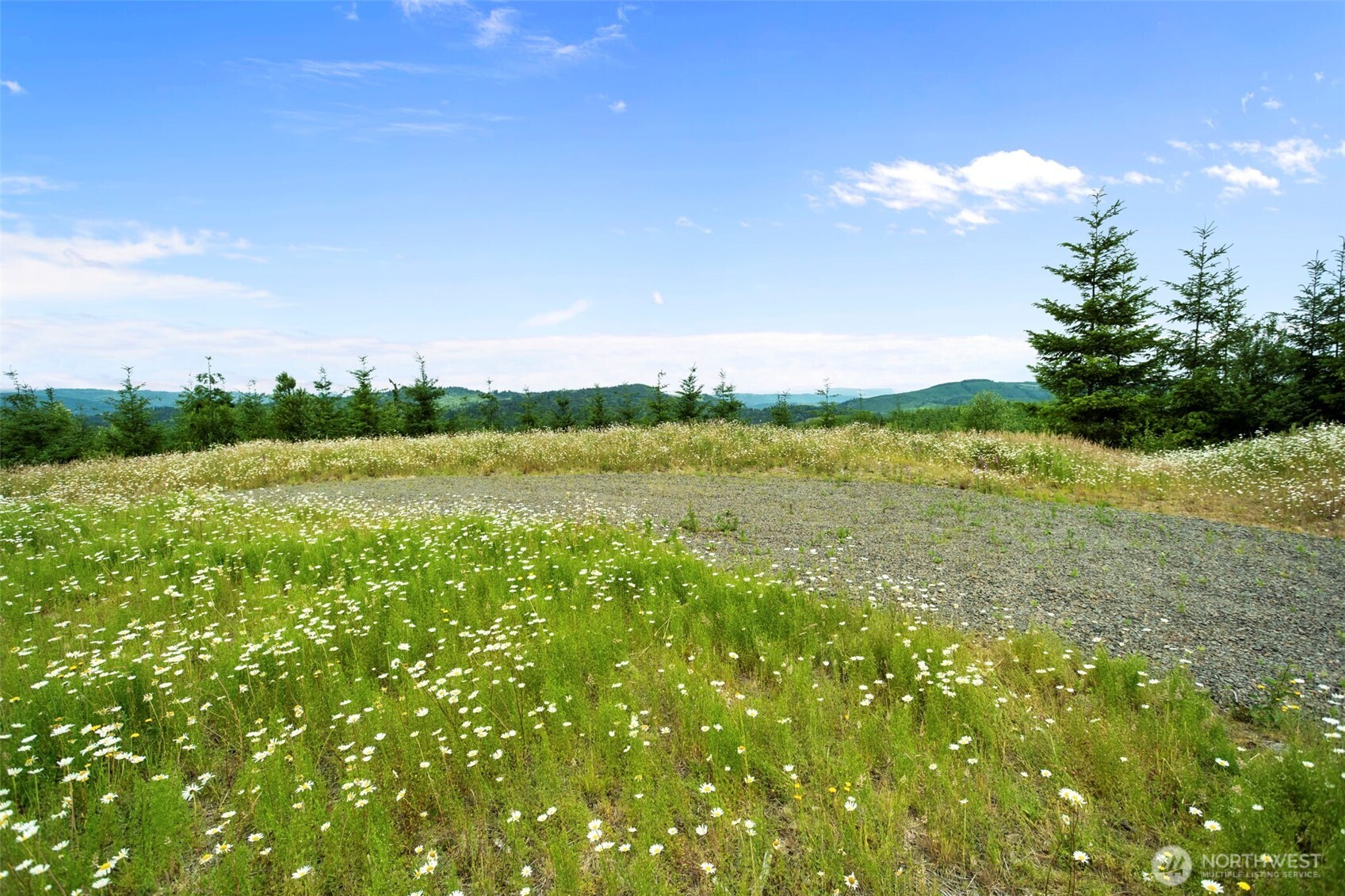 104 Bootjack Lane Property Photo 11