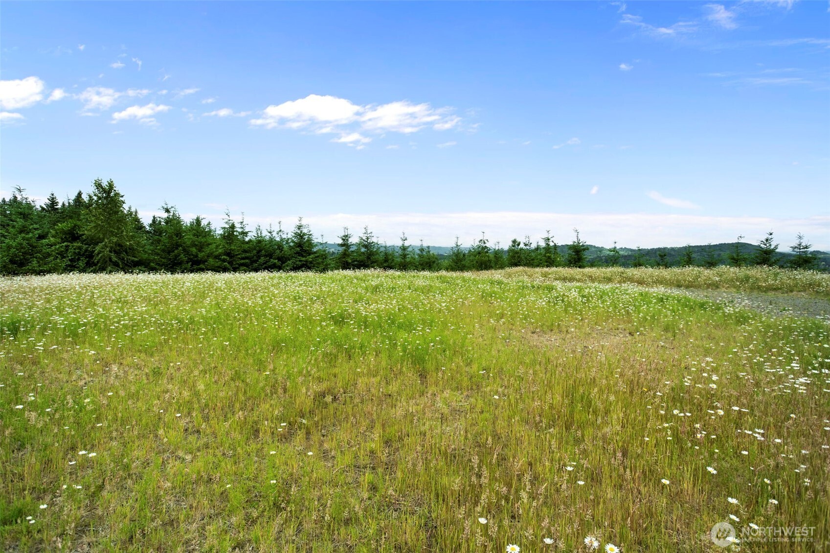 104 Bootjack Lane Property Photo 12