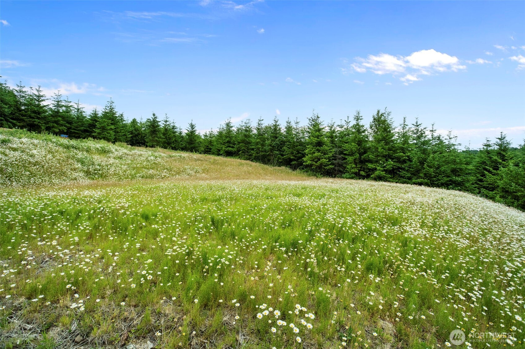 104 Bootjack Lane Property Photo 13