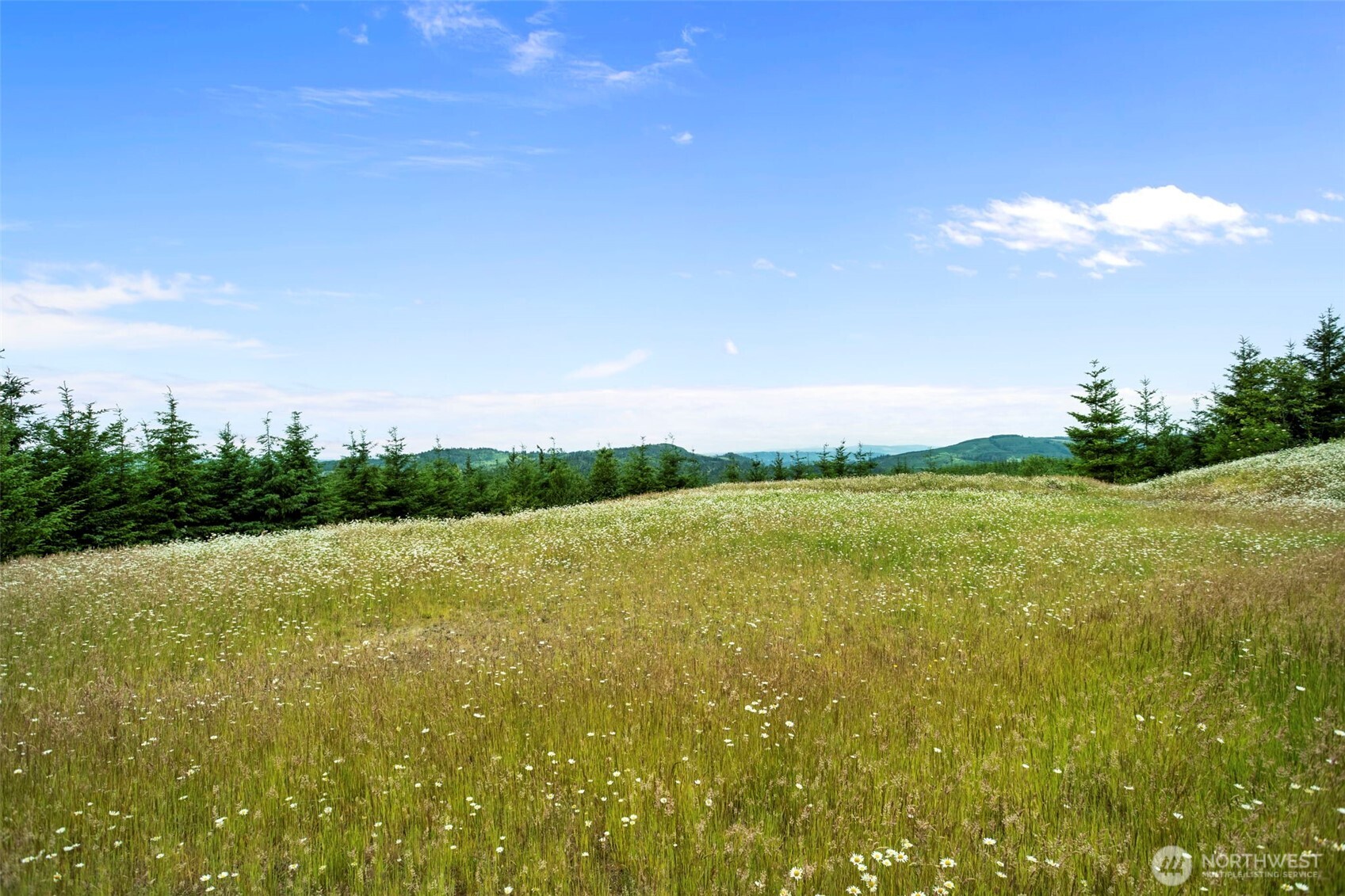 104 Bootjack Lane Property Photo 14