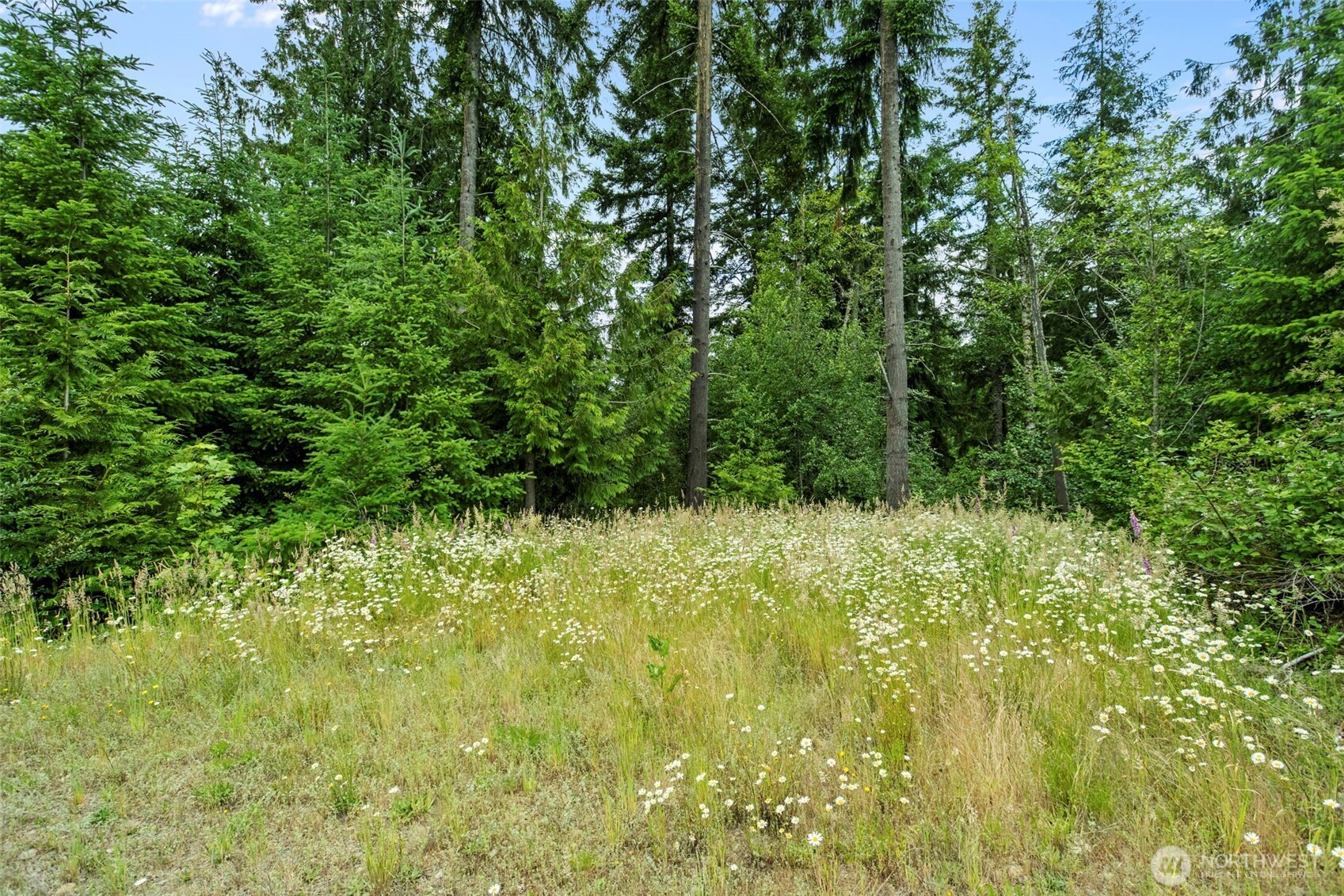 104 Bootjack Lane Property Photo 21