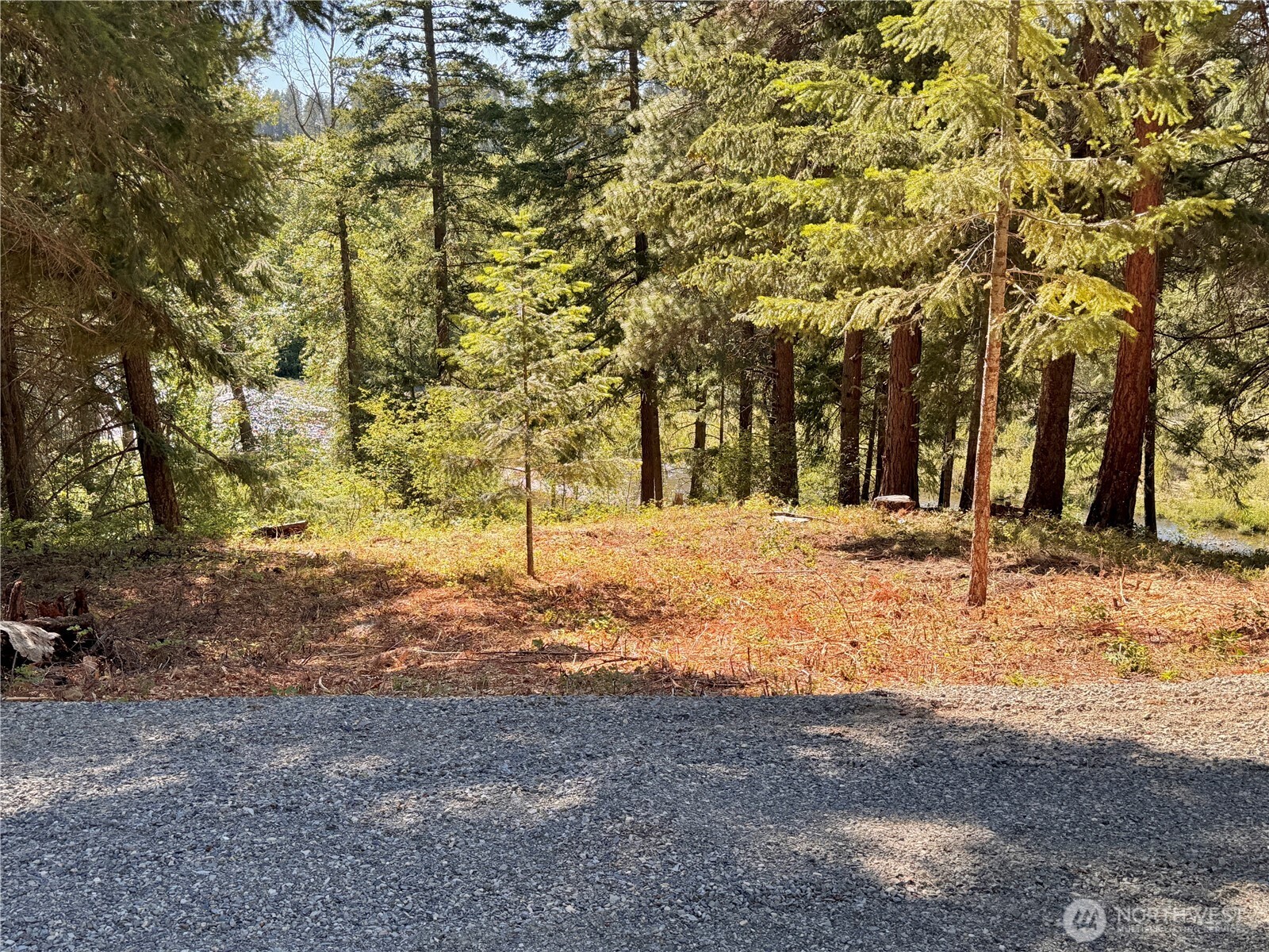 0 Ridgewater Drive Property Photo 6