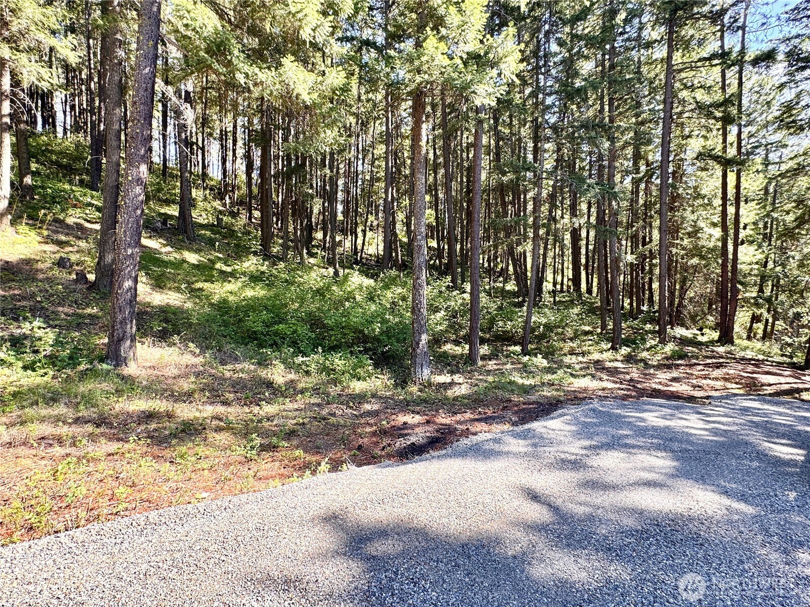 0 Ridgewater Drive Property Photo 14
