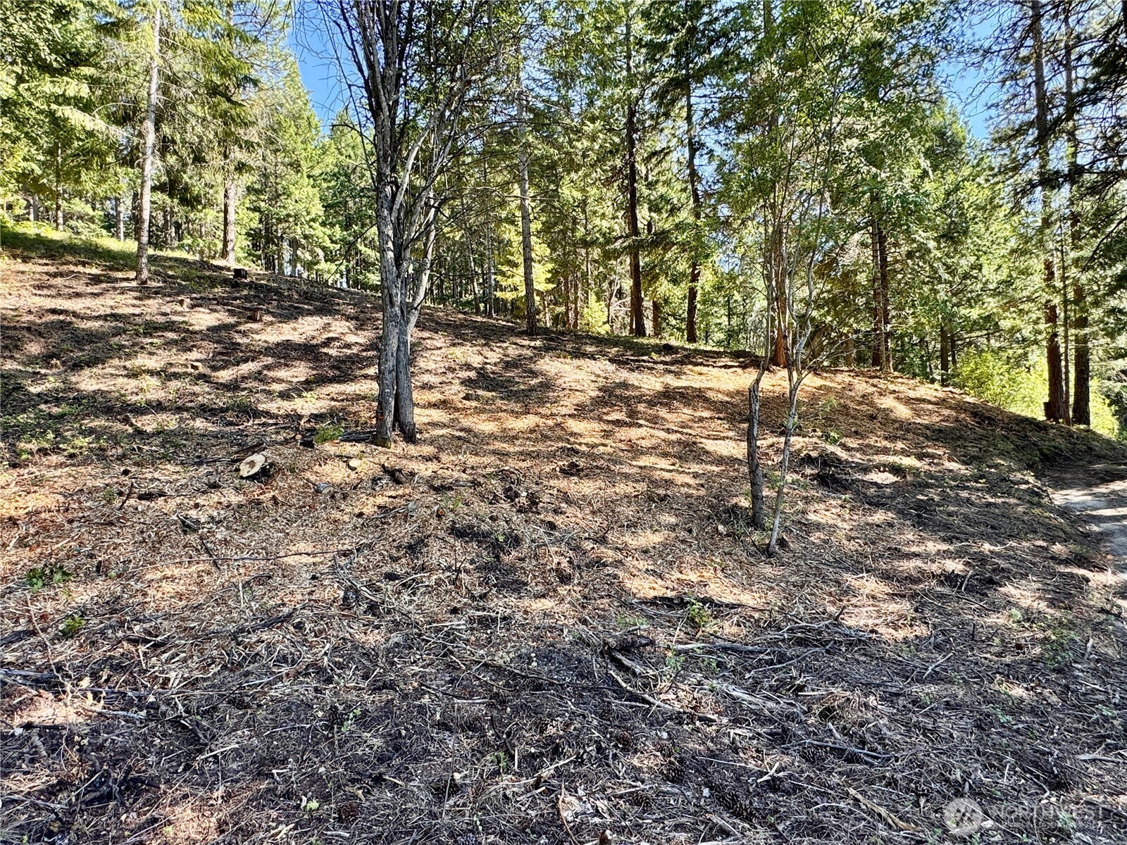 0 Ridgewater Drive Property Photo 19