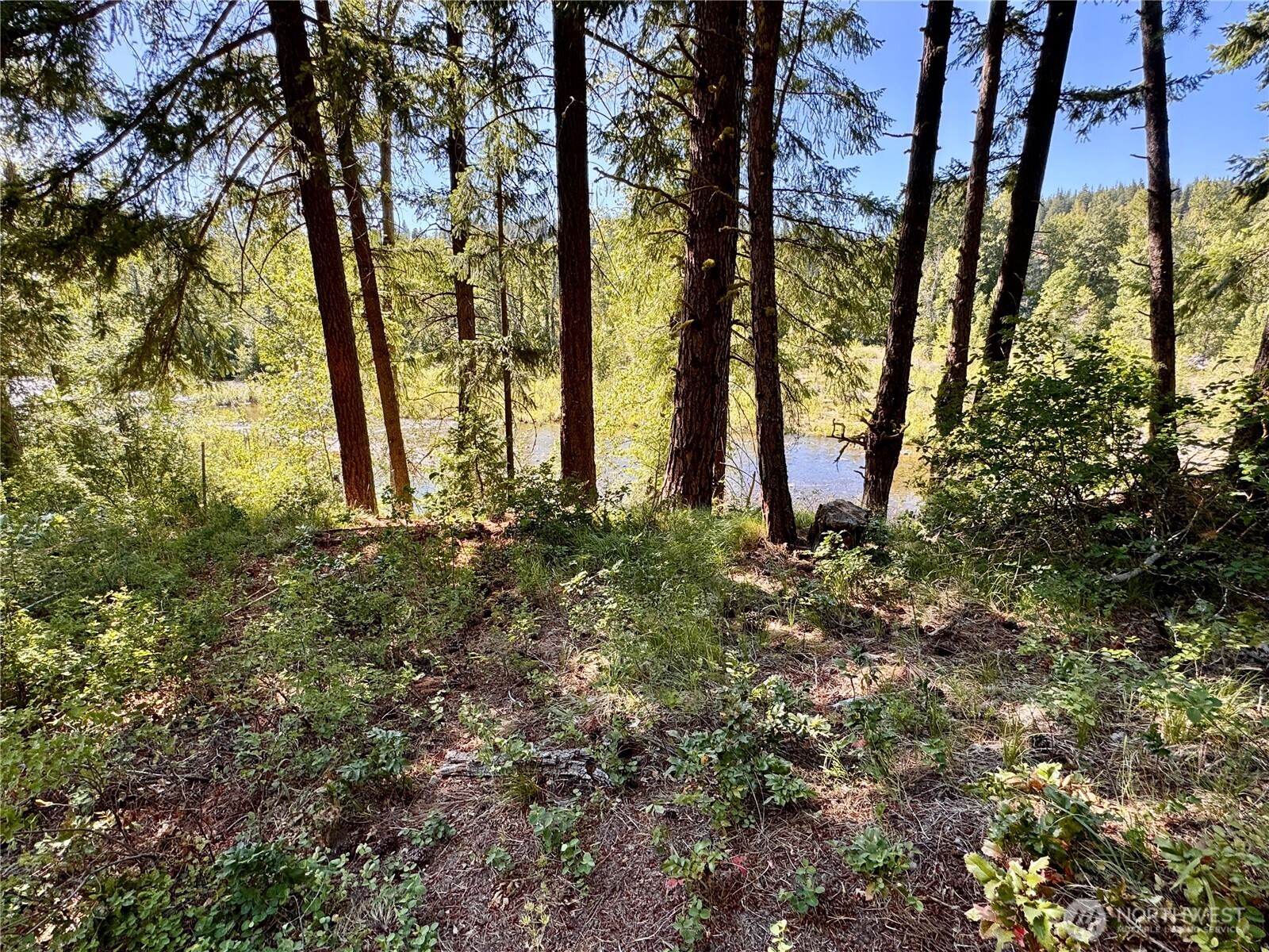 0 Ridgewater Drive Property Photo 22