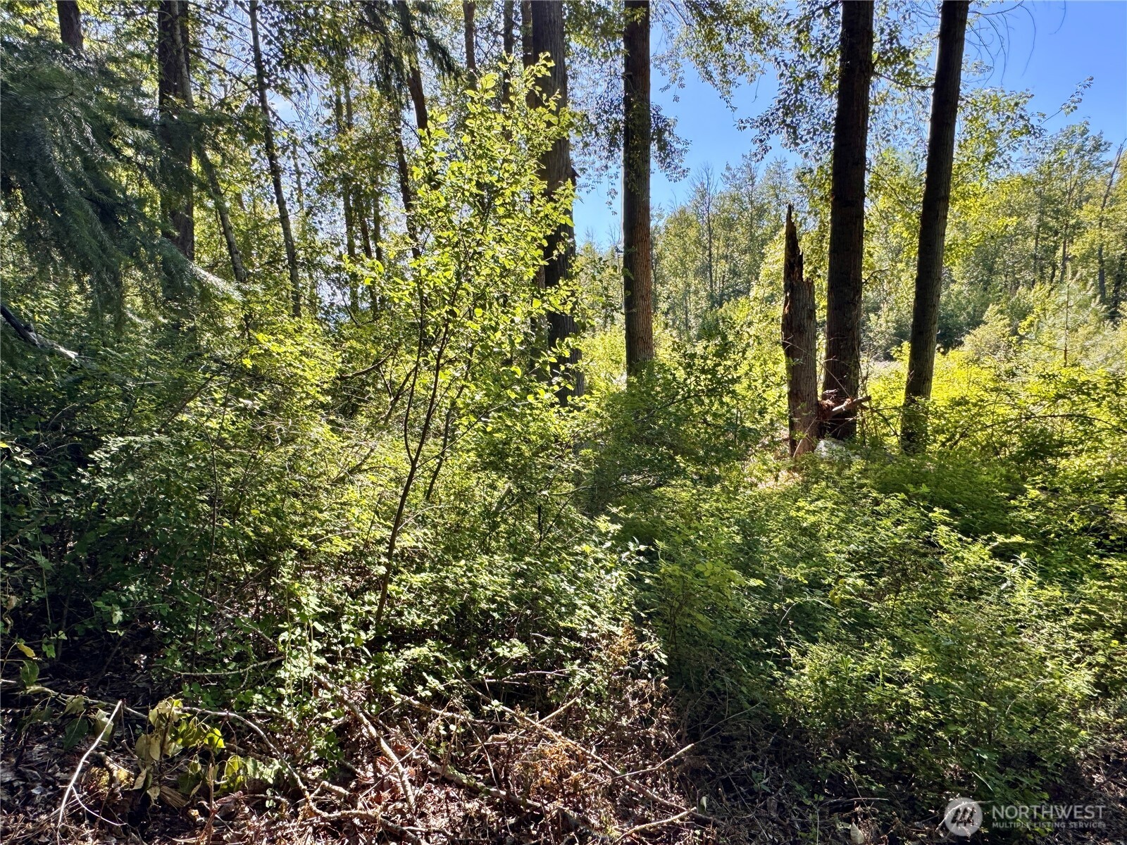 0 Ridgewater Drive Property Photo 25