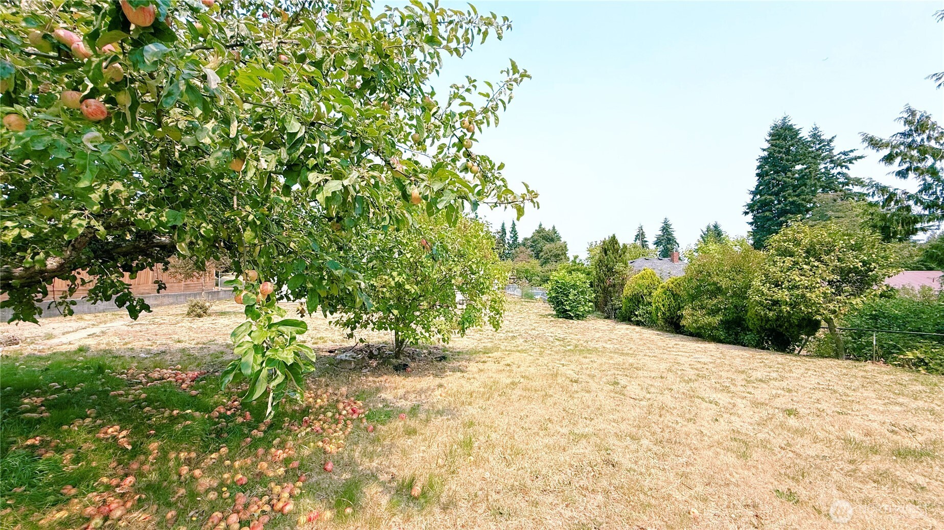 131 S 106th Property Photo 16
