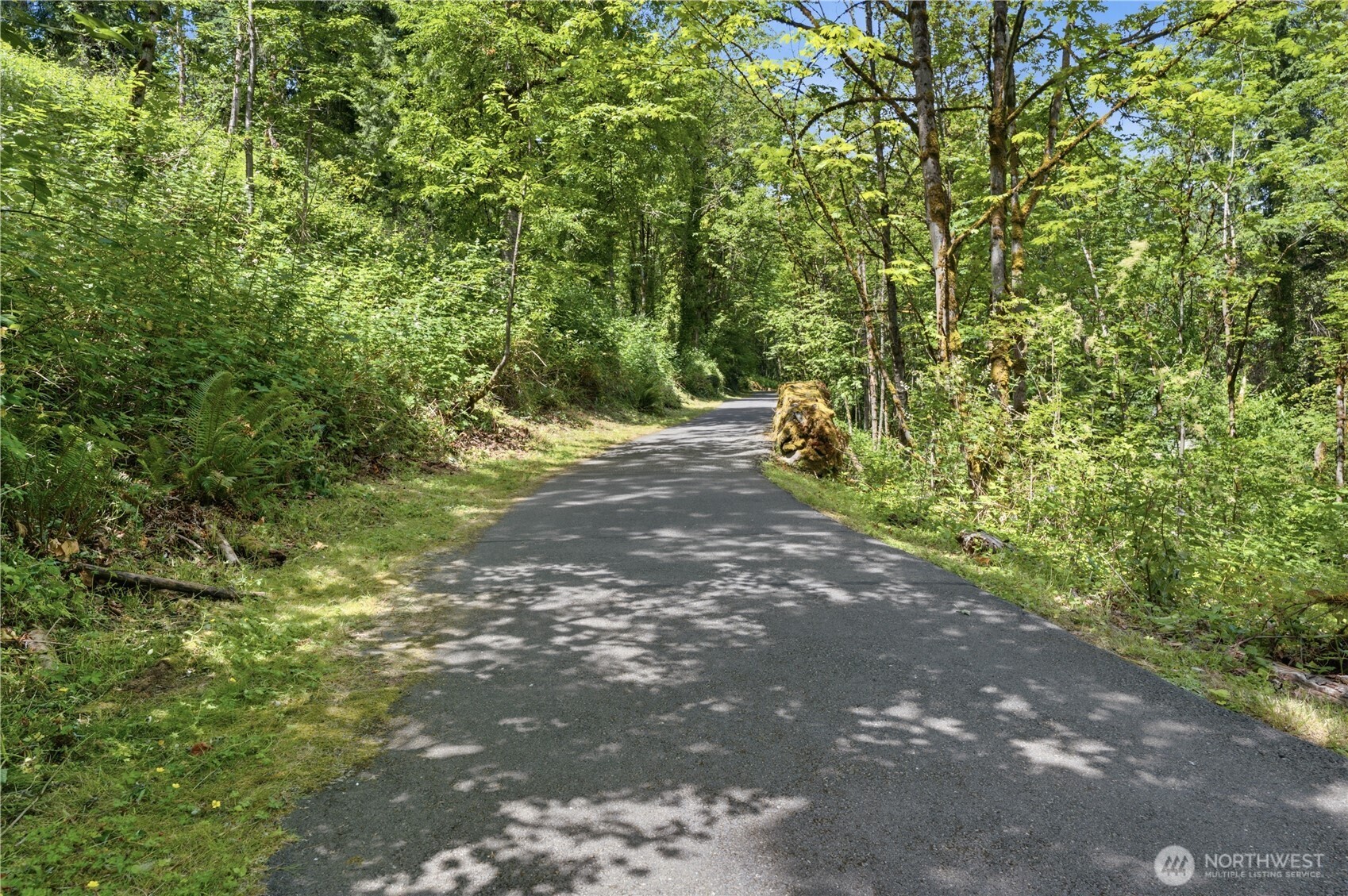 4189 W Lake Sammamish Parkway B309 Property Photo 29
