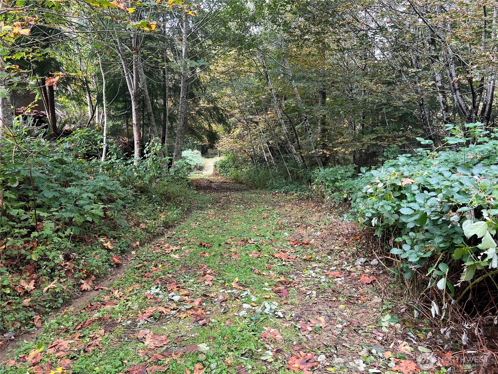 6467 Us Highway 101 Property Photo 25