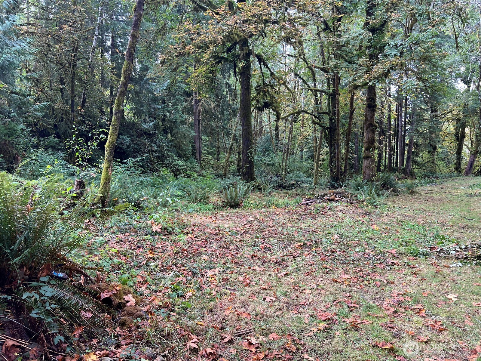 6467 Us Highway 101 Property Photo 29
