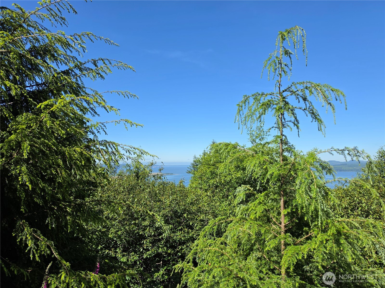 0 Xx Cottardi Heights Road Property Photo 3
