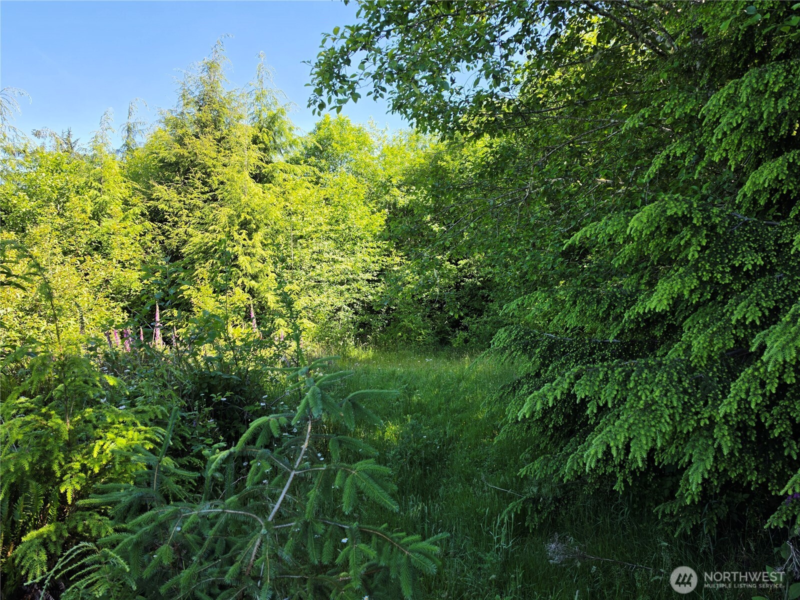 0 Xx Cottardi Heights Road Property Photo 5