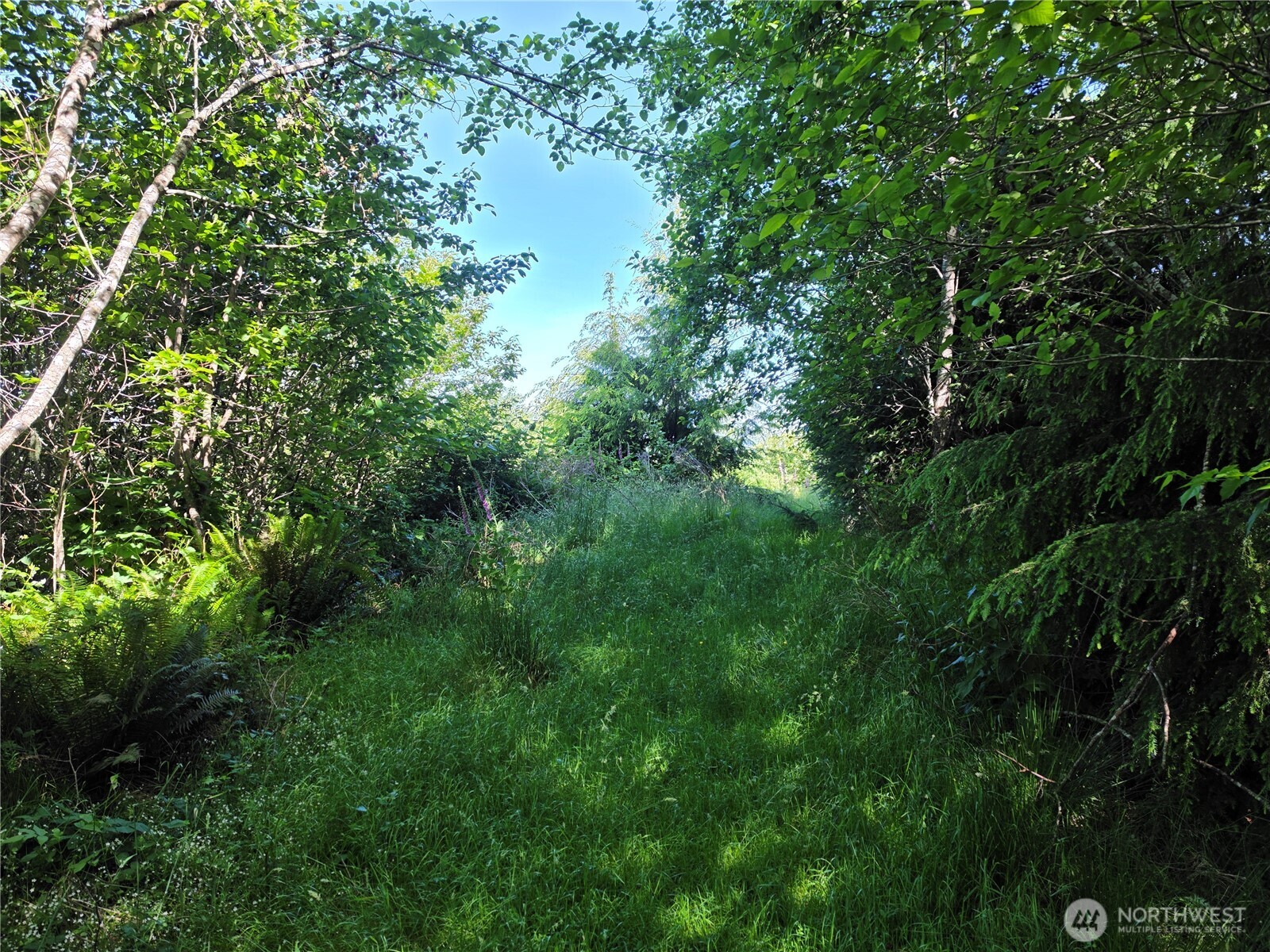 0 Xx Cottardi Heights Road Property Photo 6