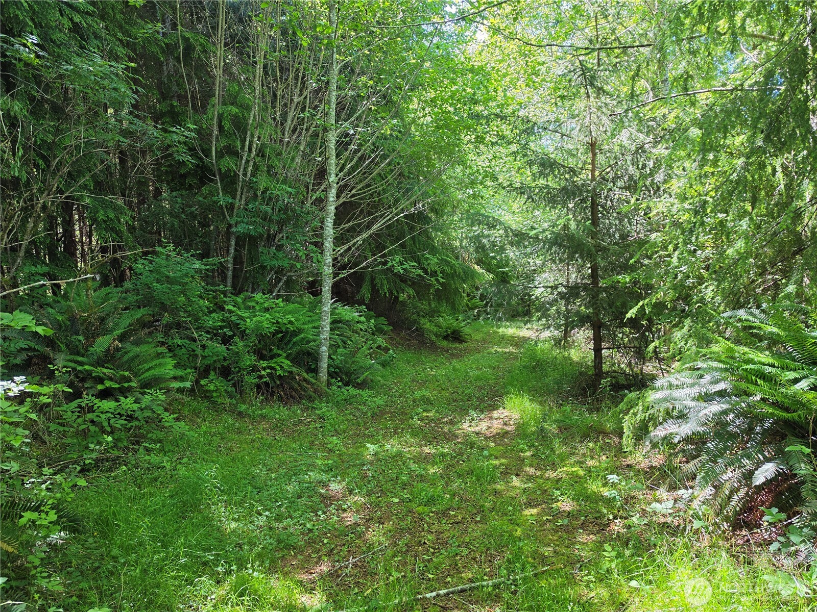 0 Xx Cottardi Heights Road Property Photo 7