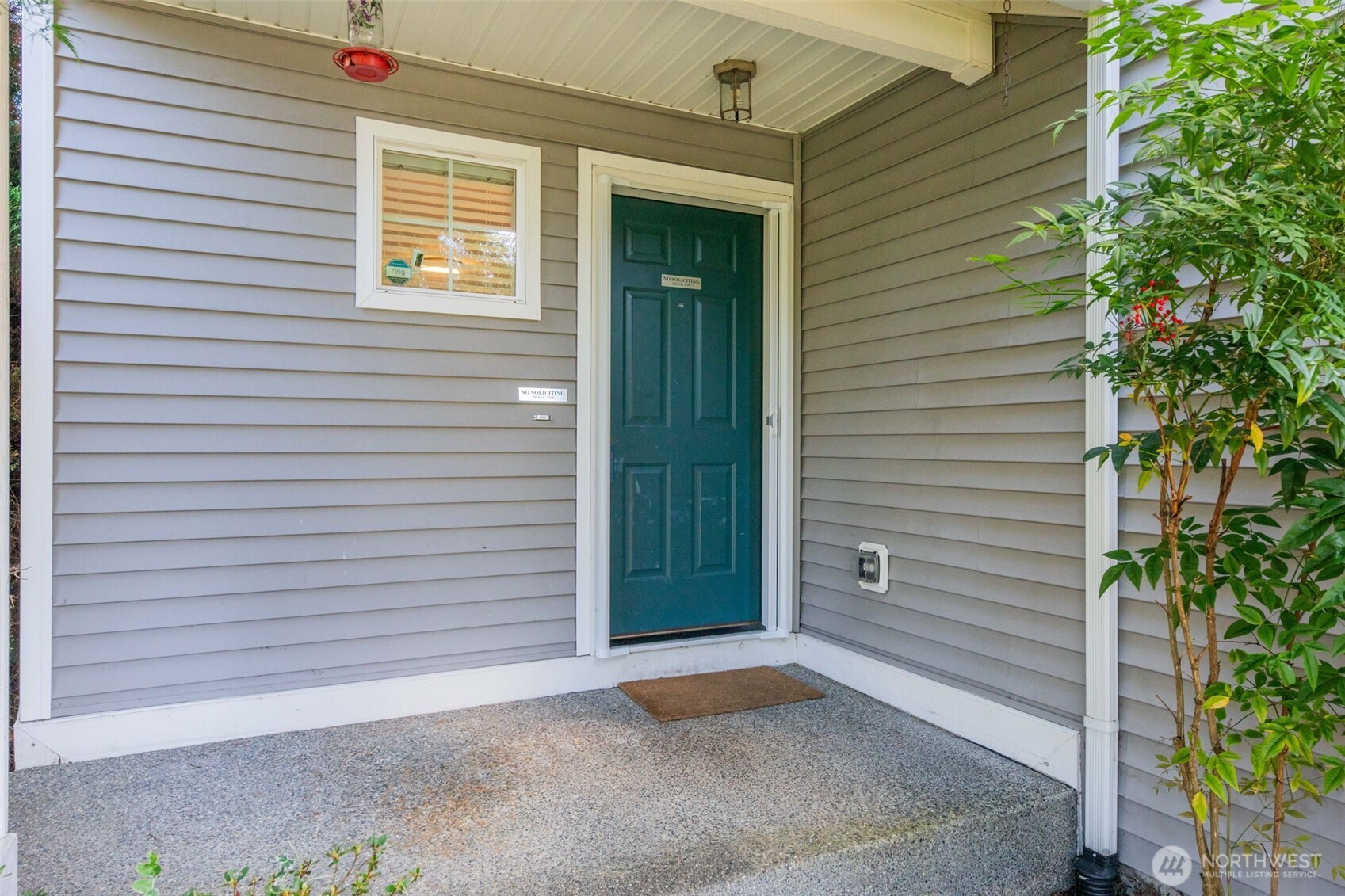 15509 38th Drive Property Photo 34