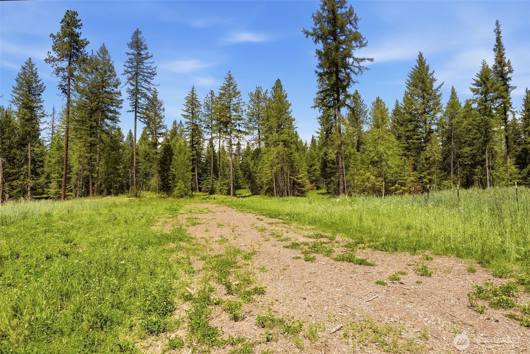 2542963 Property Photo 3