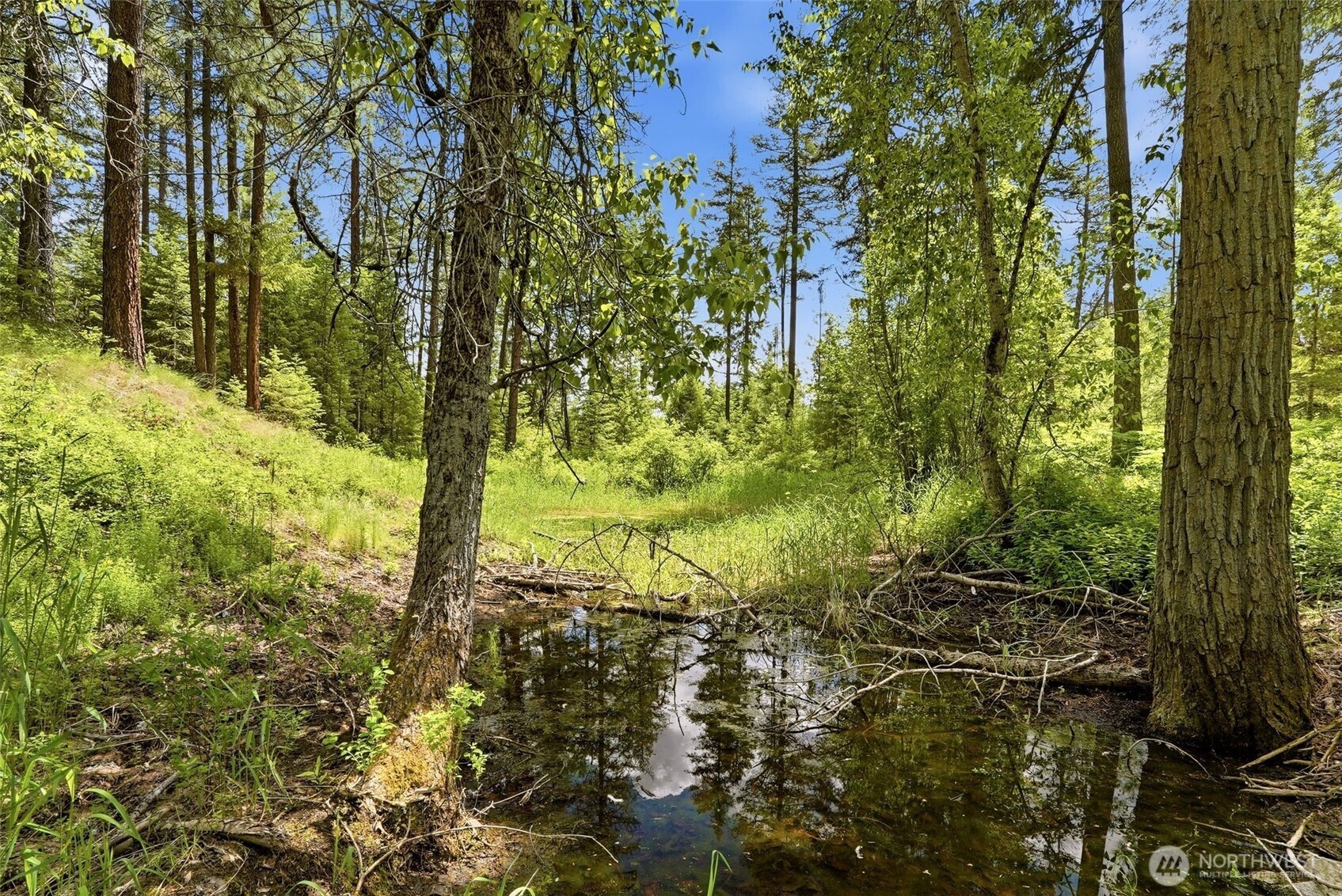 2542963 Property Photo 9