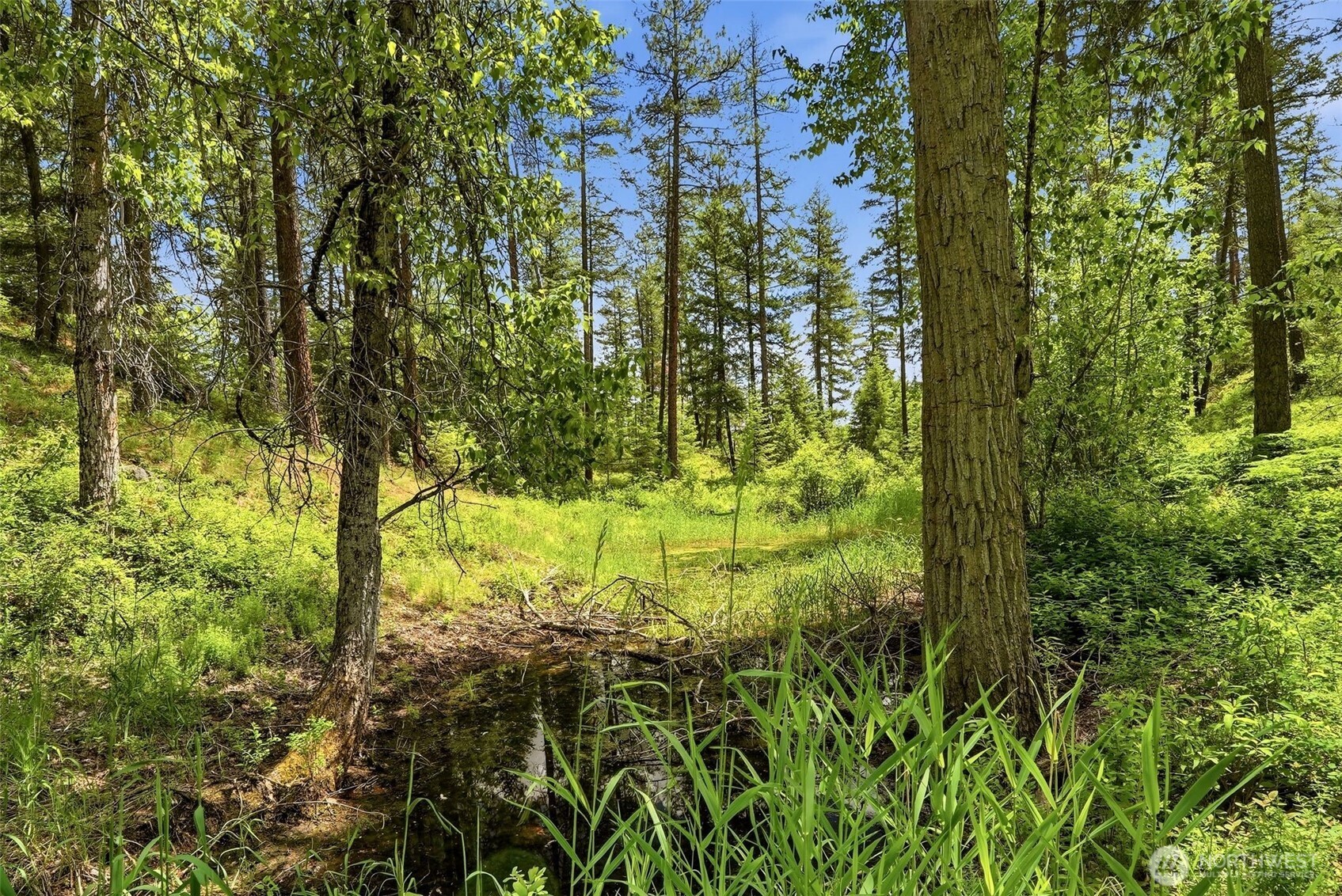 2542963 Property Photo 10